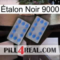 Étalon Noir 9000 20